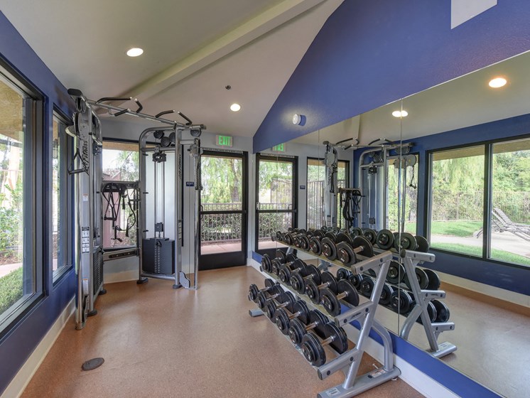 Fitness Center with Free Weights, Large Windows and Pull Up Bar Station